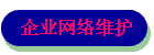 企业网络维护