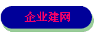 企业建网