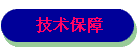 技术保障